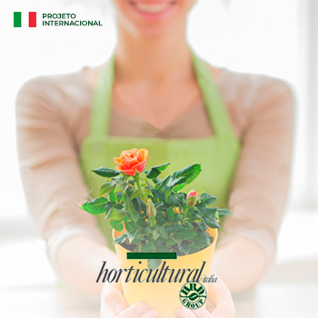 Horticultural Italia